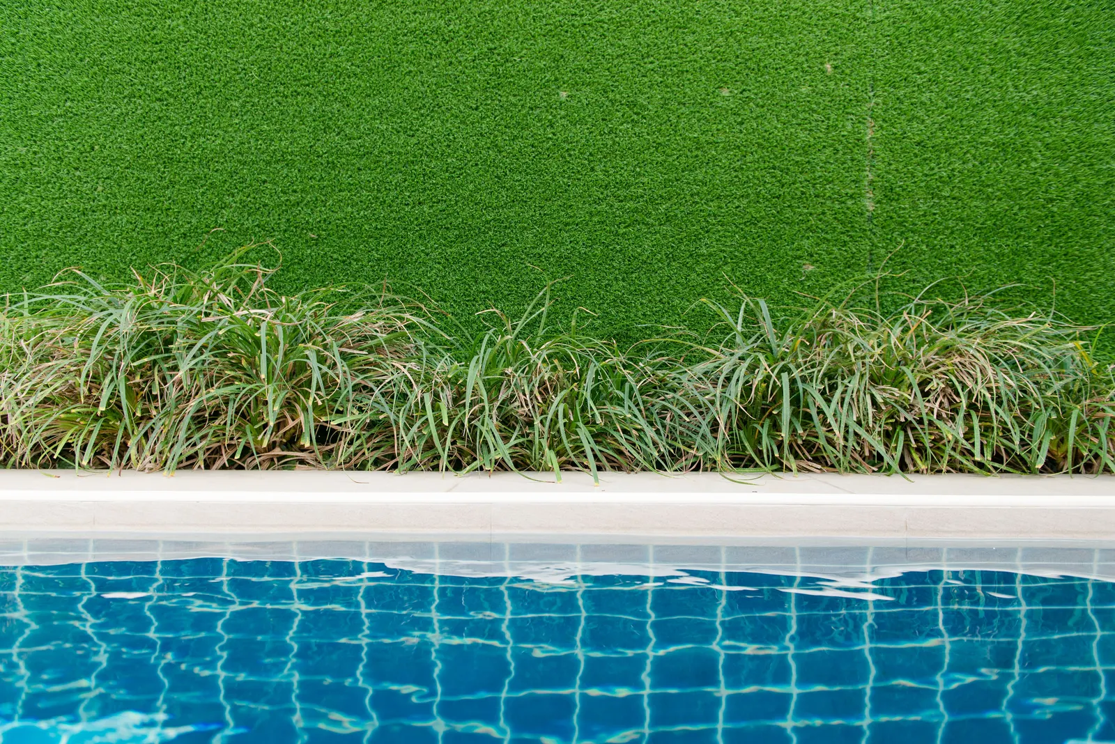 Artificial turf and ornamental grasses along the edge of a tiled pool